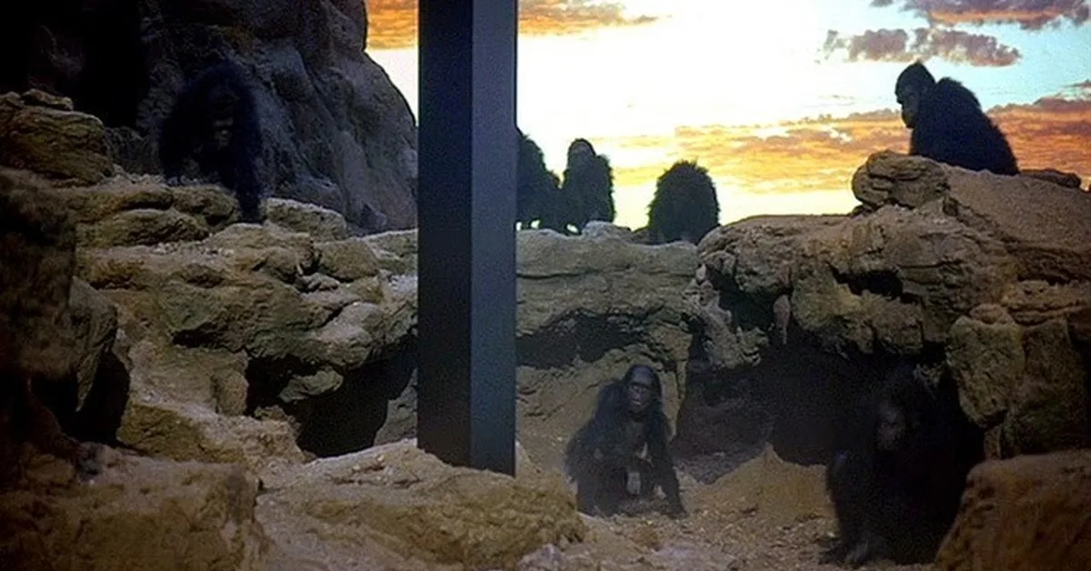 Эпизод в начале фильма. Приматы (гориллы или шимпанзе - сложно понять, говорят, что это австралопитеки, но я почему-то сомневаюсь). (с) Кадр из фильма