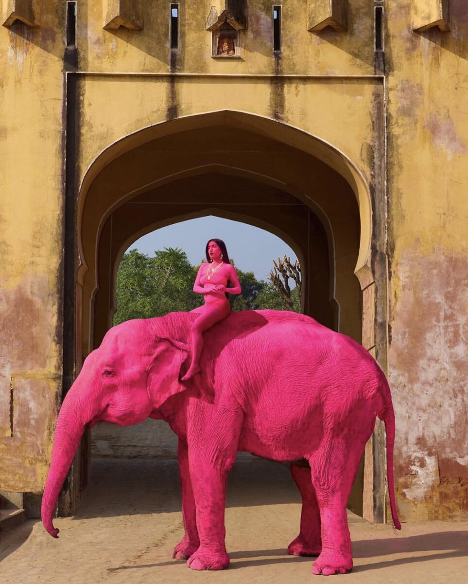 Тот самый розовый слон