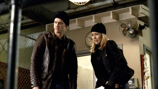 «Аферисты: Дик и Джейн» 2005; Режиссёр: Дин Паризо