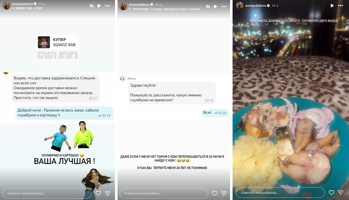 Публикация Анны Седоковой в запрещенной соцсети