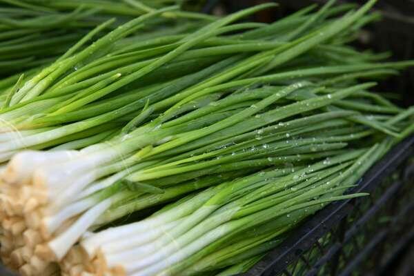 Томас Тхайцук/РИА «Новости»   📷