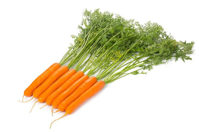 Фото с сайта ogorod.ru