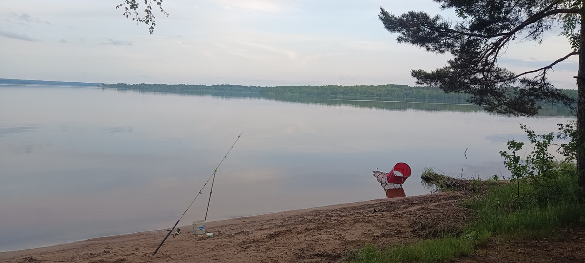 Рыбалка в запрет на одну донку
