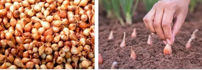 Фото с сайта ixbt.com