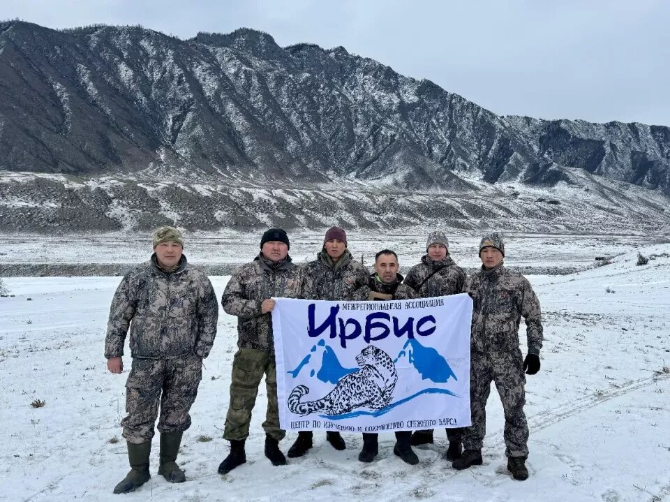    Последний этап учета снежного барса в Республике Алтай. Источник: t.me/altay_irbis1