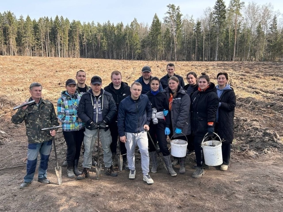     Вместе за зеленое будущее: на Копыльщине высадили более 3 тыс. сеянцев дуба черешчатого