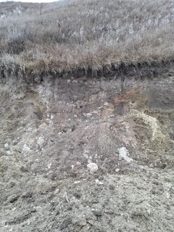     © фото - Управление по госохране ОКН по Курской области