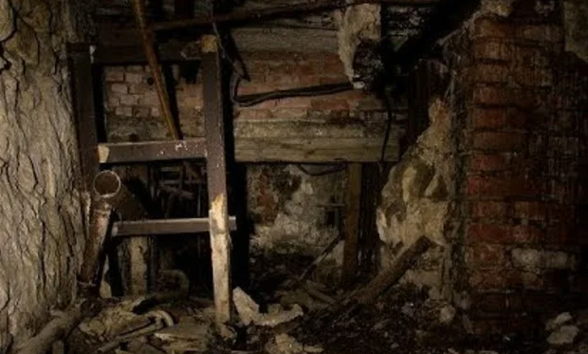 Из свободного доступа в Интернете, модифицировано Шедеврум