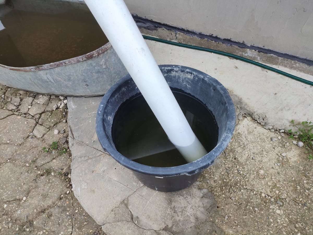 Дождь начался в пять вечера и почти всю ночь капал.. Даже полную емкость не набралось ))