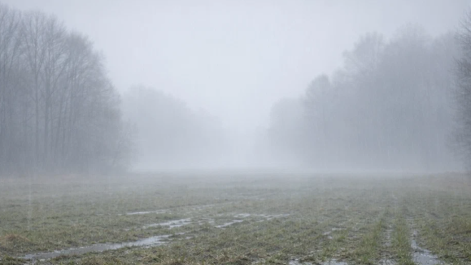 Синоптики предвещают похолодание и мокрый снег с дождем в Петербурге и Ленобласти