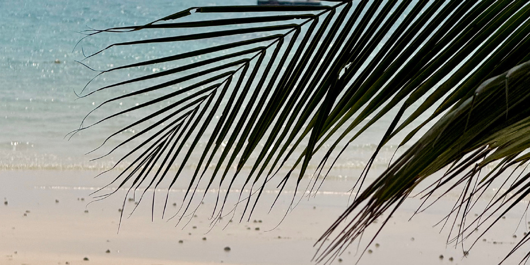 Отдыхать устала. Море надоело. Хочу домой.