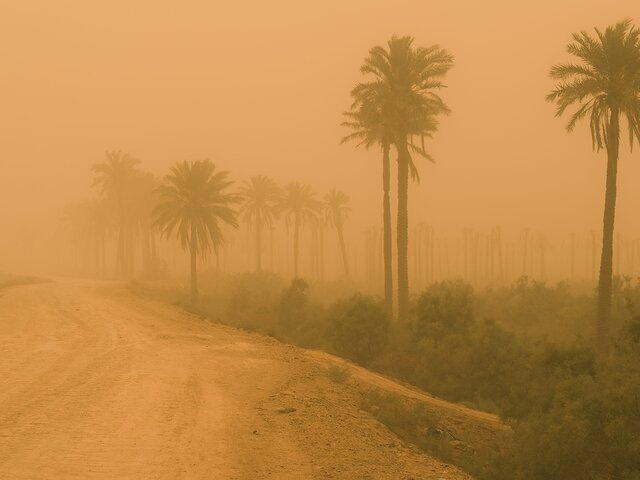    Фото: 123RF.com/mohammedalali77