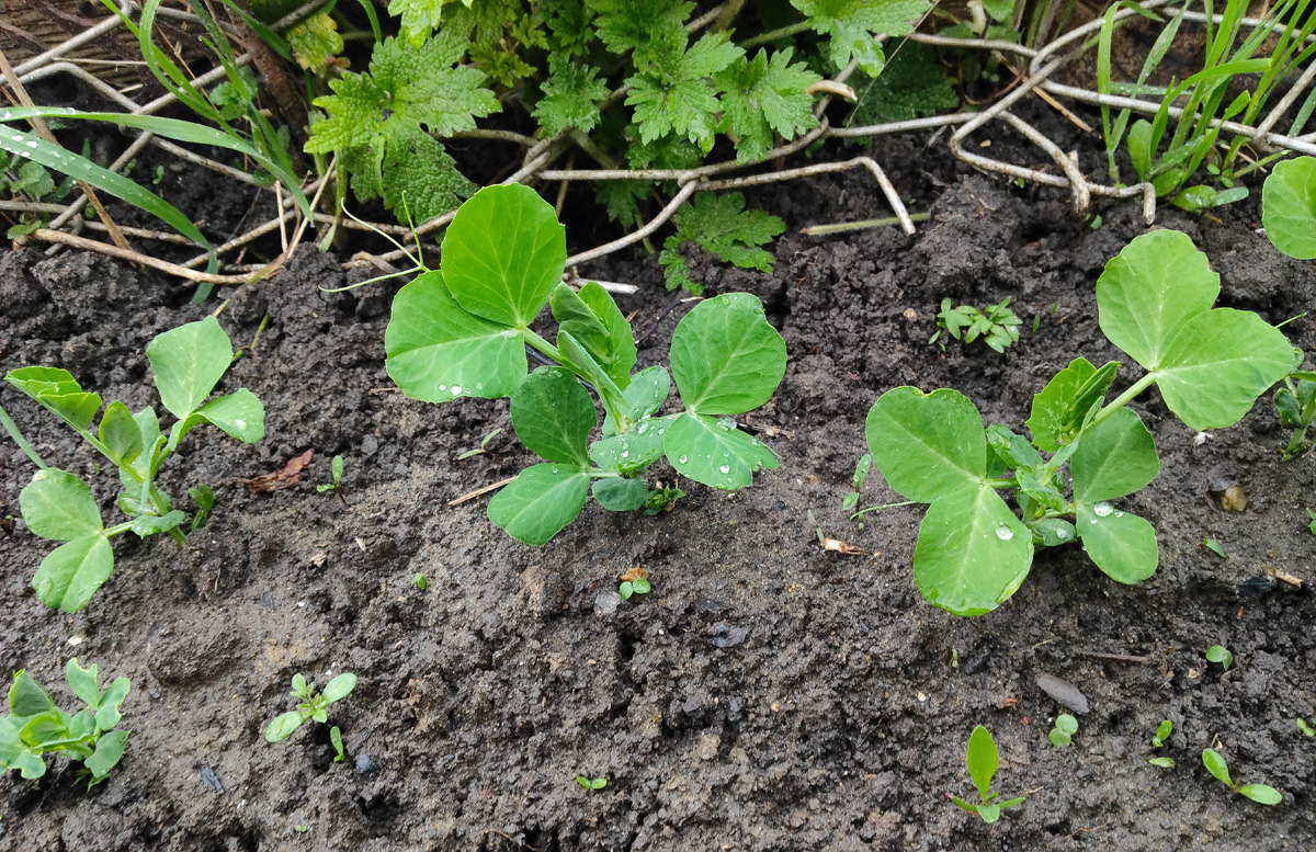 3 апреля 2026 года