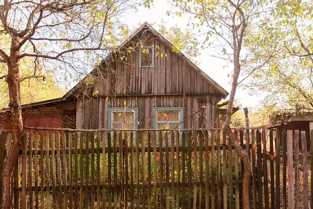    Источник: lenta.ru/ Анна Абрамова