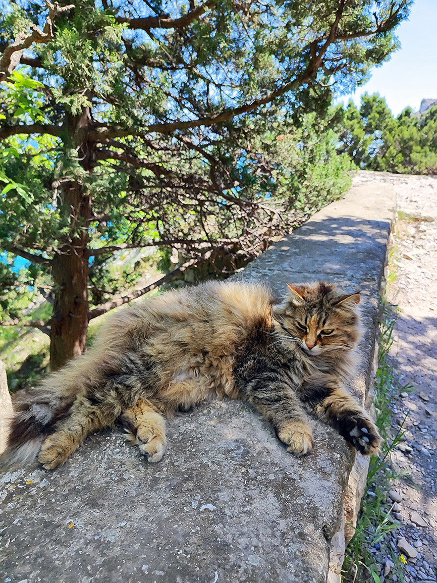 Прогулка по тропе здоровья в Крыму в мае