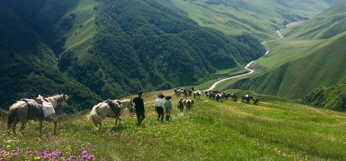 Конные прогулки в Тушети