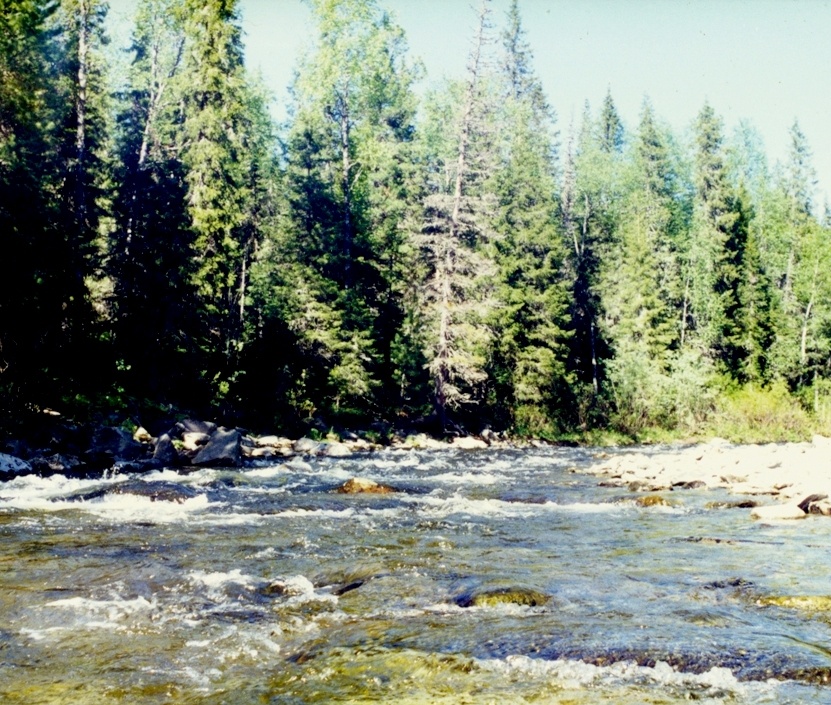 от истоков до низовьев - листайте вправо, фото автора