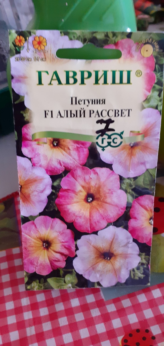 ТАК ОН ВЫГЛЯДИТ.