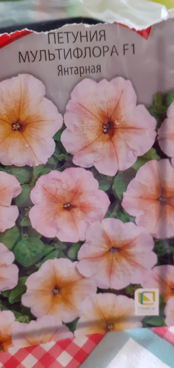 Это сохранившийся пакет.ПЕТУНИЯ  " ЯНТАРНАЯ"