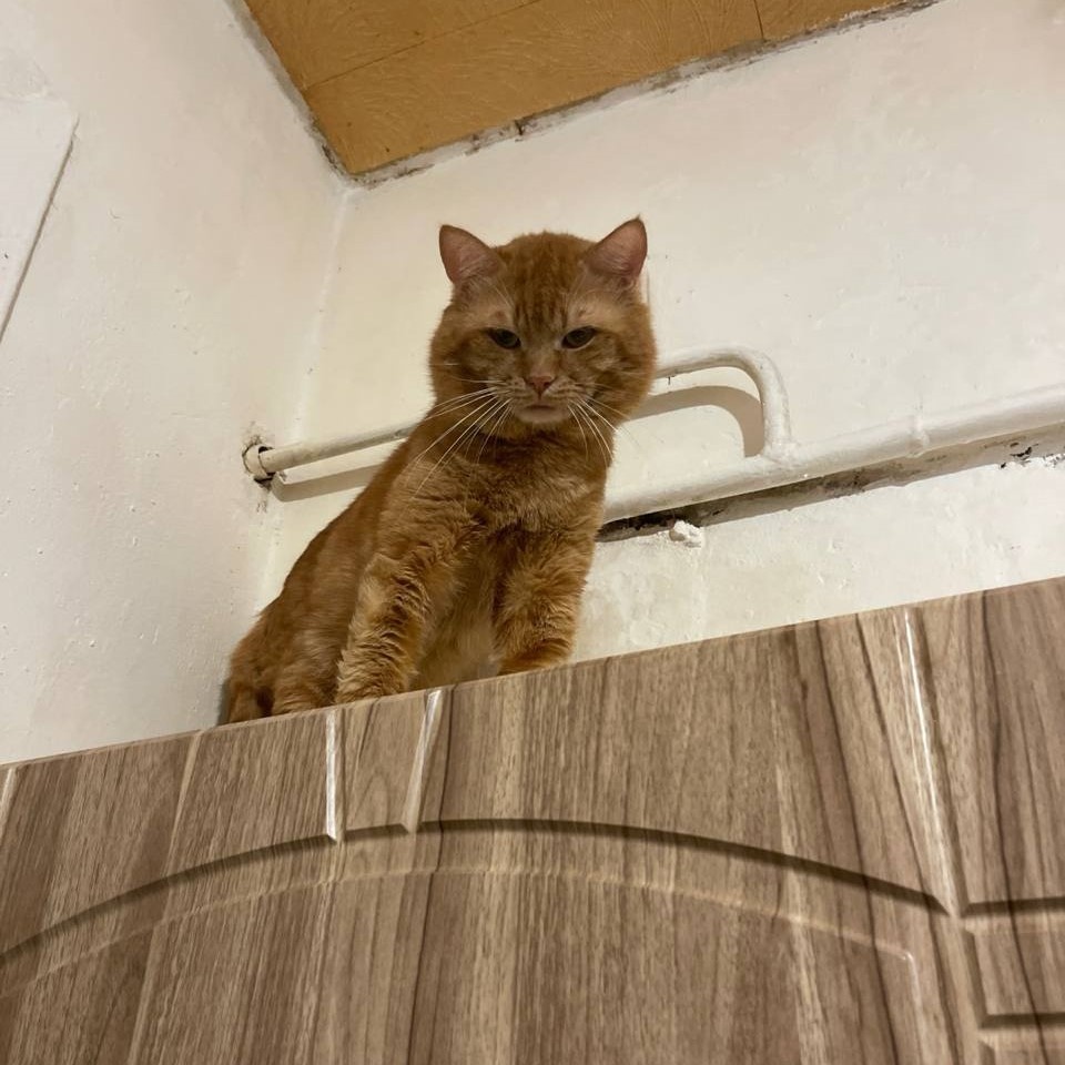 Думал, так и просижу тут всю жизнь...