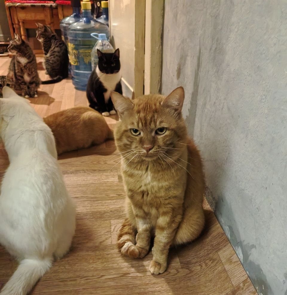 Я спустился не просто так, я своего человека нашёл