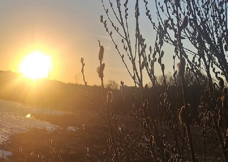 Путь к Богу. Вербное...