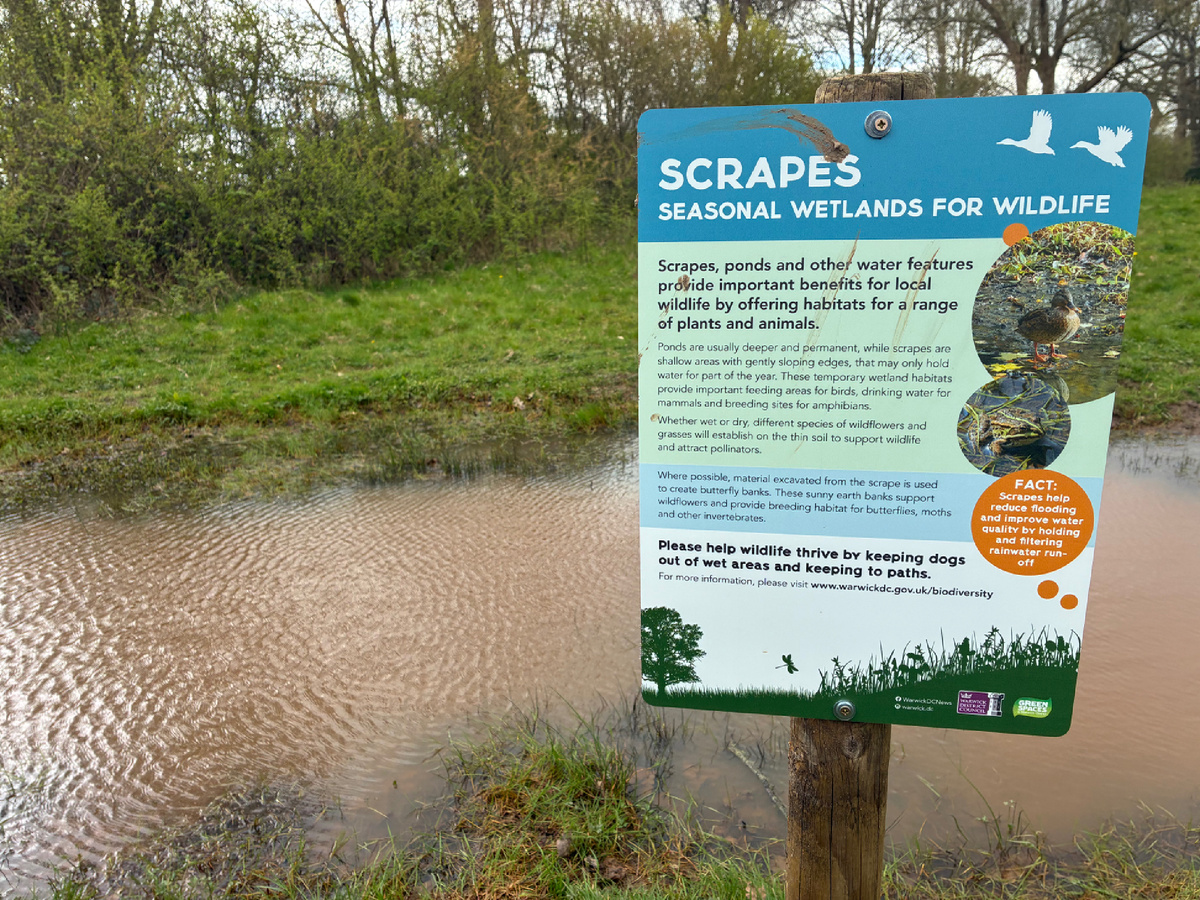 Знакомьтесь, это SCRAPE. Собакам вход воспрещен, тритонам - добро пожаловать! Фото из личного архива