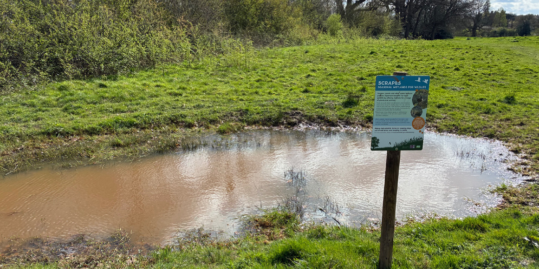 Почему в Англии гордятся обычными лужами и сколько за них платит средний британец?