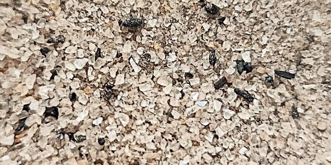 Секреты астраханской кухни: четверговая соль