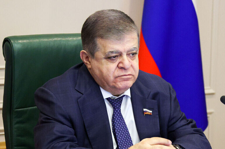   Денис Вышинский/Пресс-служба Совета Федерации