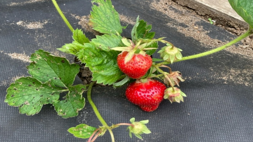    Фото редакции