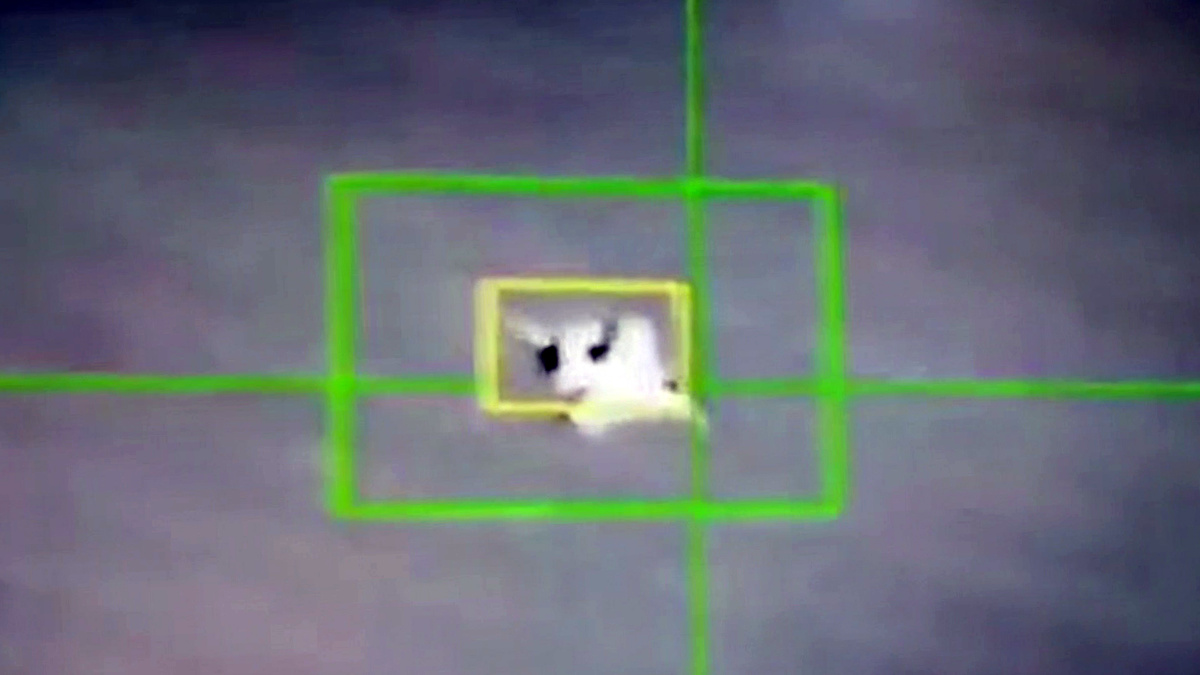    Первый канал