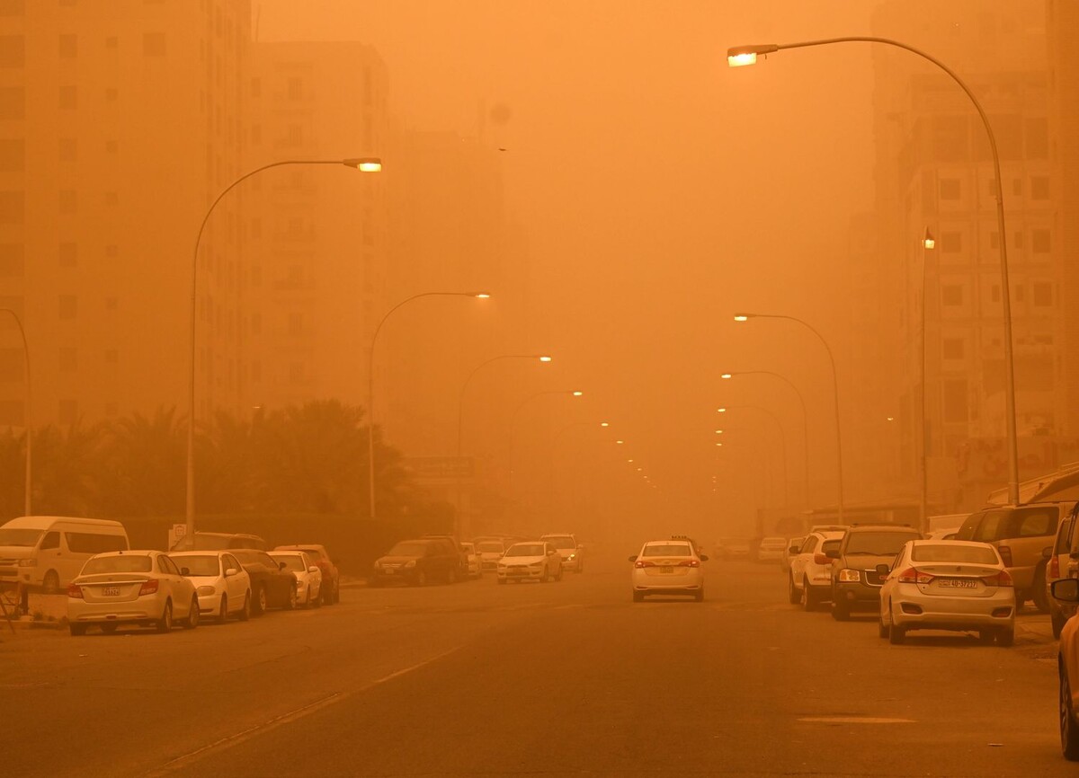     / Источник: © Global Look Press