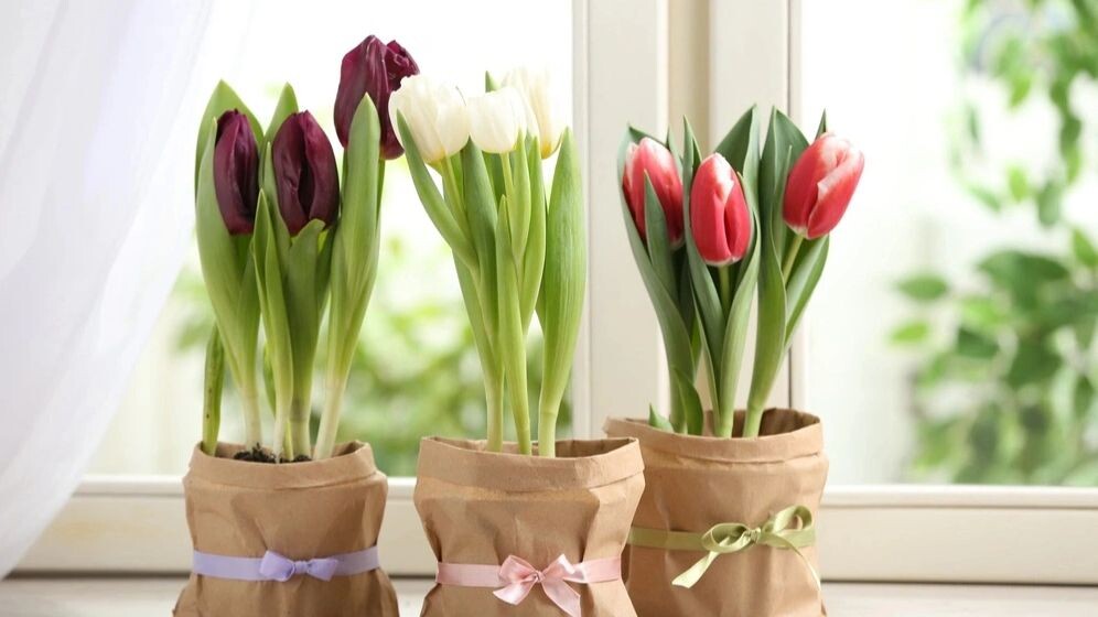    Фото: New Africa/Shutterstock/Fotodom