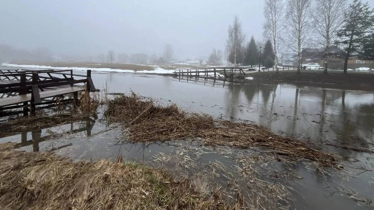    Фото: VK / Роман Кавинов