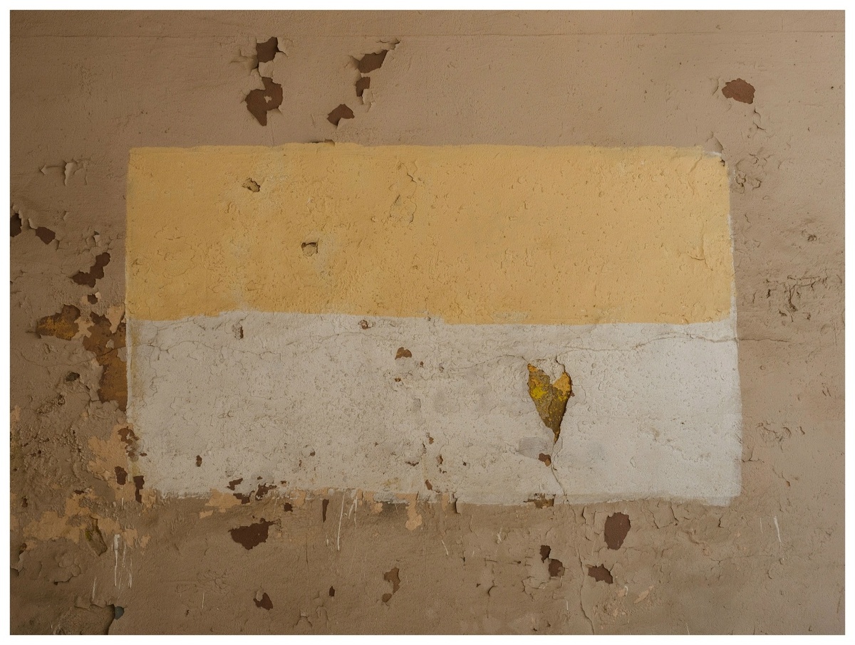    Фото: Александр Губарев Юра Белый