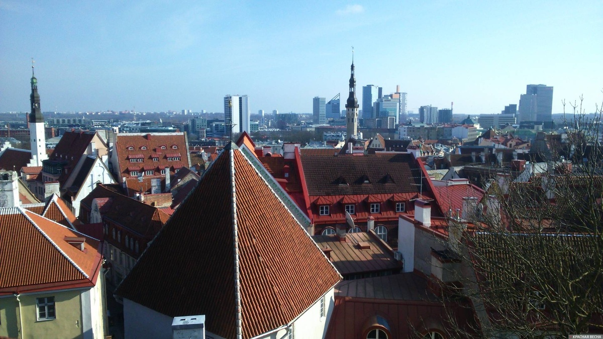     Таллин. Эстония. Вид с Вышгорода   
© ИА Красная Весна