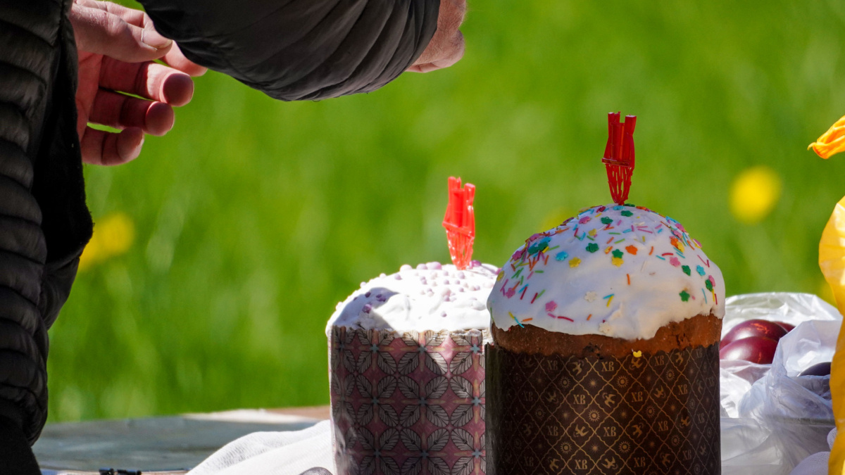 Светлана Мулыкина📷
