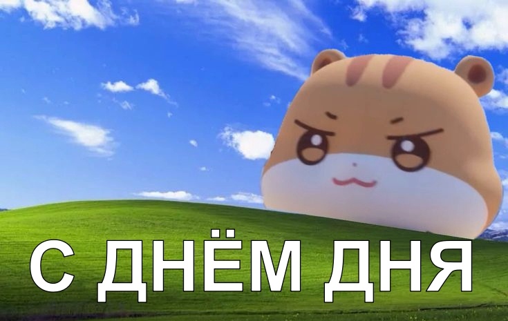 Во всяком числе многие мемы несут в себе что-то большее, но такой юмор тоже имеет место быть показывая способность современных людей искать позитив в обыденных вещах. 