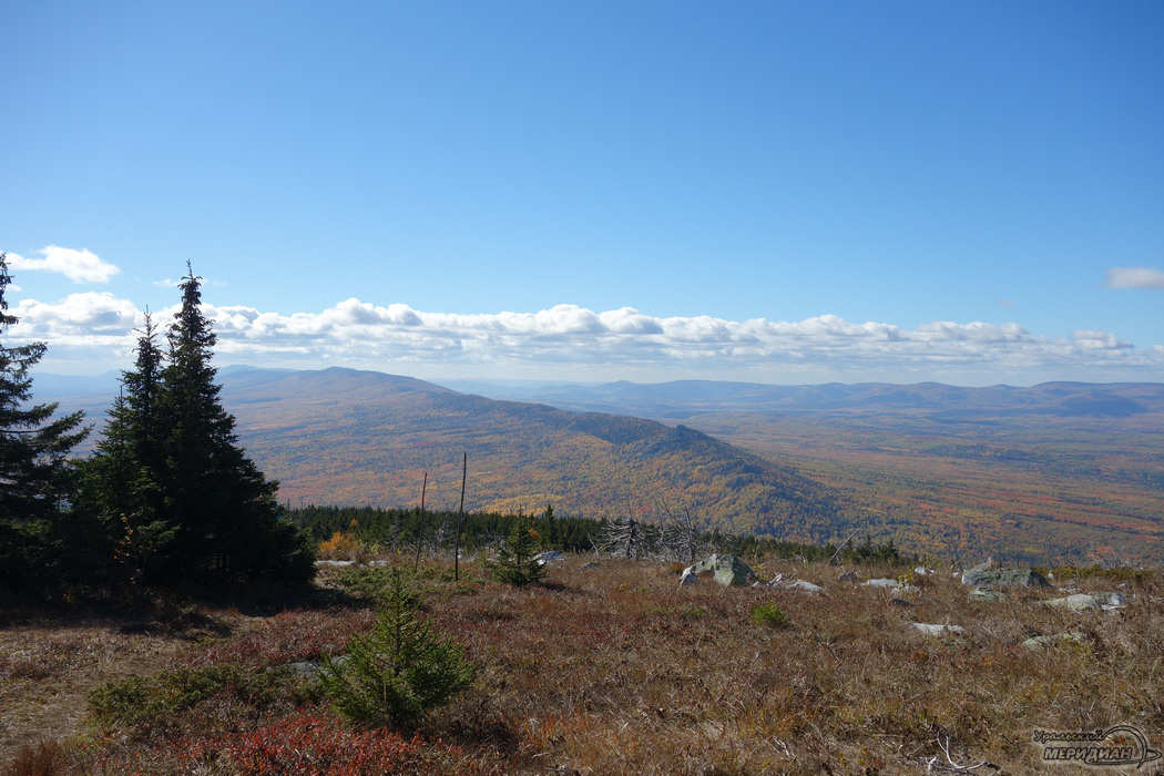    Фото: Гертруда Тиунова © ИА "Уральский меридиан"