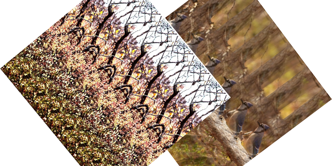 В двух стереокартинках одинаковый сюжет, но есть между ними отличие: сможете увидеть?