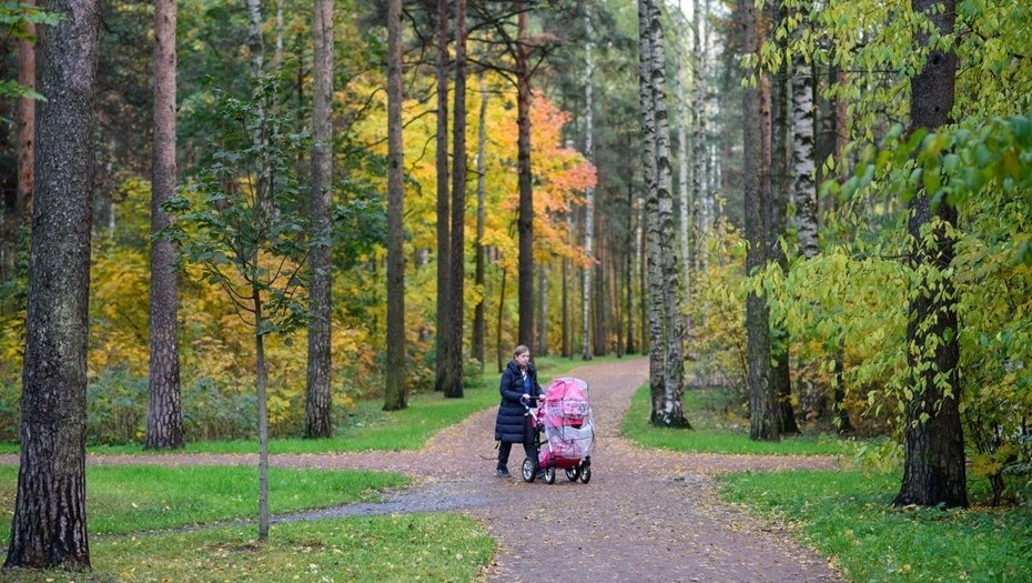Автор фото: Сергей Ермохин / "ДП"