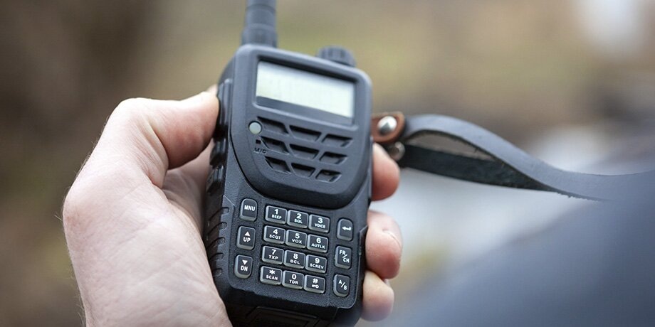    Фото: 123RF.com/luckyraccoon