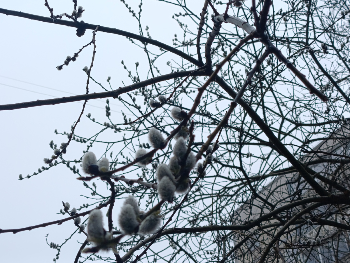 Фото сегодняшнее