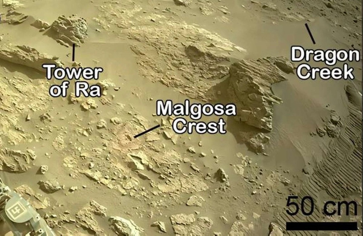    Nature Communications (2026). DOI: 10.1038/s41467-026-70081-3