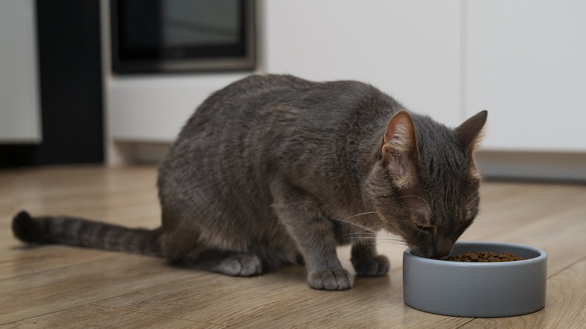    Разные виды — разные потребности в питании