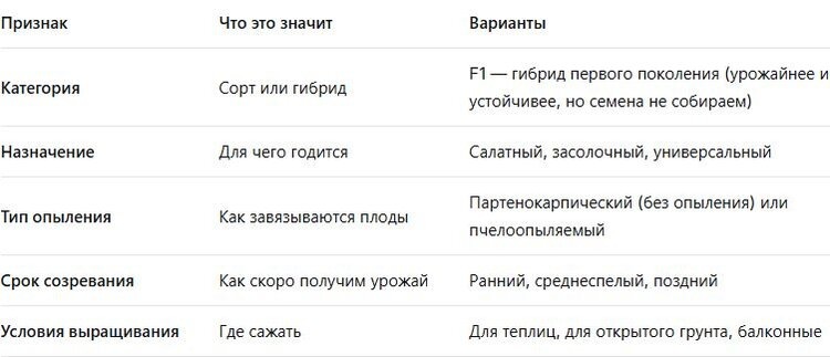     Популярные сорта огурцов 2026: выбираем для теплиц и открытого грунта
