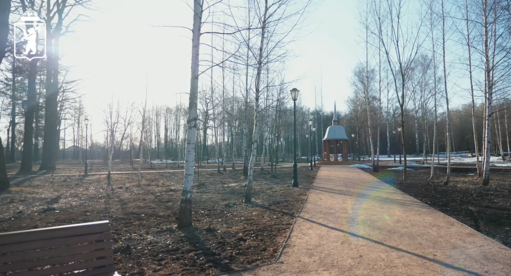 Для Петропавловского парка Ярославля на основе исторических данных разработали дендроплан