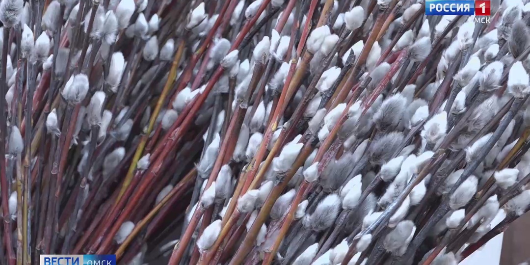 ✅ Омичи готовятся к Вербному воскресенью