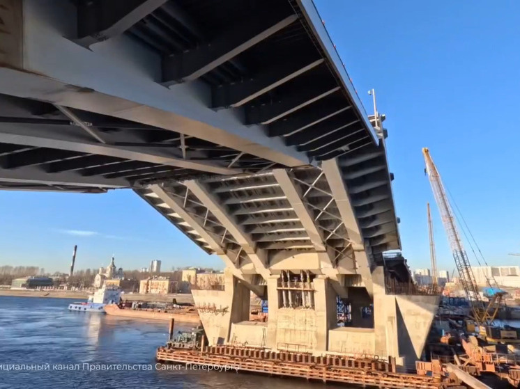     Каждое крыло поднимают и опускают по отдельности. Фото: пресс-служба Правительства Санкт-Петербурга